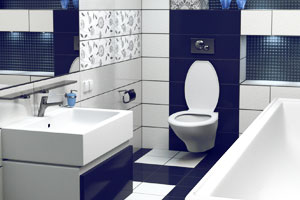 Plomberie : sanitaire : cuisine et salle de bain